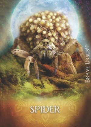 Spider Spirit Animal Altar & Prayer Card